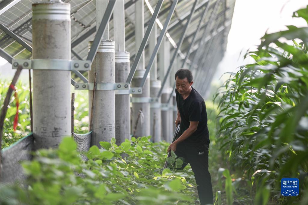 新2投注